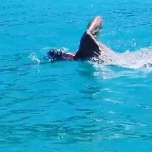 Adam Walker Instagram - Timing & rhythm gives you the biggest glide possible saving the most energy and maximise SPEED 🤙

Learn Ocean Walker Technique Freestyle online with currently over 4 hours of instruction from the creator Adam Walker & Record Breaking Ocean Swimmer!! (Available in over 14 languages!!)

1. Learn how to stay balanced 
2. Learn how to be Faster than you thought possible & for longer distances 
3. Learn how to stay injury free in your shoulders 
4. Learn how to swim effortless 
5. Learn how to swim with an attractive looking freestyle 
6. Learn how to use minimal kick for maximum gain
7. Learn how to glide up to 2 metres 
and so much more……

More videos added each month, just £12 a month!!! Massive Saving!!!! Go to the link on the bio it’s called Ocean Walker Vimeo!!!

Swim Camps to come!!
24th & 25th Glasgow (2 day camp)
16th March London (1 day)
Join us on the ULTIMATE 12th April here @summer.island.maldives for the 5 day swim camp that gives you more incredible results!!! 

Or Visit Adam for a private 1-1 lesson over 1 day or more @ocean_walker_academy_ 

Go to oceanwalkeruk.com or email us at oceanwalkeruk@gmail.com