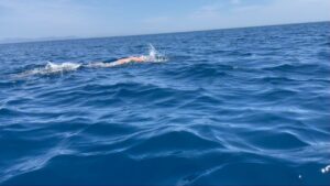 Adam Walker Instagram - Happy World Swim Day 🏊‍♂️
I’ve been blessed to swim and coach in many countries.

What is your favourite country to swim and why???

To learn the World’s Most Efficient Freestyle called Ocean Walker Technique click View SHOP’ below and subscribe NOW. Find out why over 150 countries have subscribed. Available in 18 languages with subtitles.

#oceanwalkertechnique #swimming #adamoceanwalker #worldswimday