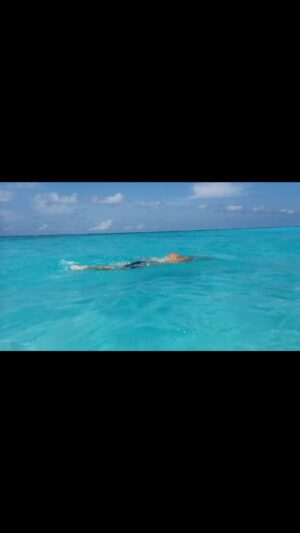 Adam Walker Instagram - When your swimming goal is big enough, you will do whatever it takes!!! Everyone can swim this way, you just need to learn it. When I changed the way I swam to #oceanwalkertechnique due to injury so many laughed at me creating drills and learning to swim again. However my focus never let up to achieve 6 more of the toughest channel swims in the world and now coaching people from all over the world. It shows the importance of committing to something you believe in and staying disciplined on the journey!!

The video above is where my next 5 day swim Camp is @summer.island.maldives award winning resort in the Maldives. 30th Sept - 4th Oct this camp can change your swimming life!!! Email oceanwalkeruk@gmail.com or go to oceanwalkeruk.com to book 🏊‍♂️