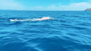 Adam Walker Instagram - I use to think Swimming FASTER was about how quick your arms turnover!!!! I was very wrong! First I had to learn how to be more efficient to then swim faster, swim further using less energy which is also key for  triathlon, Ironman and long distance. You could be super strong but if your body is sinking you won’t be getting the most length of each stroke due to drag. 
The system I teach enable the least amount of drag possible with the Most amount of glide for the BIGGEST gains!!! Click VIEW SHOP after this video and subscribe to the Most EFFECTIVE online swimming coaching EVER., Its perfect for beginners, triathletes, Ironman of all levels. It will CHANGE your swimming life!!! Over 150 countries have subscribed for just £12 a month!!!!!! I have had various swimmers qualify for triathlon and Ironman World championships and swimmers break long distance speed records!!! Also if you can’t swim freestyle this is a #gamechanger 
#oceanwalkertechnique #triathlon #triathlete #openwaterswimming #swimfaster #swimbetter