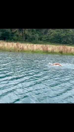 Adam Walker Instagram - Gliding with speed 🏊‍♂️🤟

Click ‘VIEW SHOP’ below the view to subscribe and learn Ocean Walker Technique’