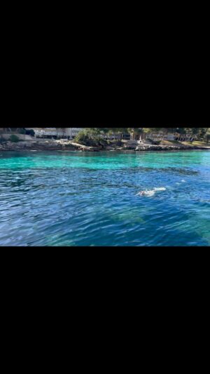 Adam Walker Instagram - Beautiful spot training today in Majorca 🏊‍♂️
with @pohlnathalie 

Training camp is going well. Water temp is cool 😎 
Need to get the acclimatisation ❄️🏊‍♂️

Love this spot #calavinas where I learnt to swim in the sea as a child. Great memories 🙏