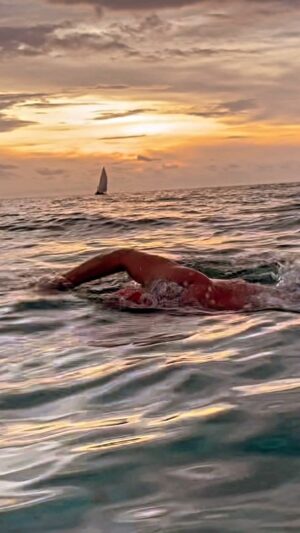 Adam Walker Instagram - NO LOSS OF SPEED 🏊‍♂️
Perfect for Triathletes & Open water swimmers!!!
Stay low to the water when you breathe. Push temple into the water creating a pocket to breathe which helps keep hips stay high. Fast, Efficient & Smooth #oceanwalkertechnique 

Are you a triathlete or open water swimmer wanting to improve??? Checkout Maldives Swim Camp just released 30th Sept - 4th October 2024. Check out oceanwalkeruk.com to book.

Subscribe now to Ocean Walker Vimeo online coaching 50 videos of instruction the improvements are significant!!!

#adamoceanwalker #swimming #triathlon #triathlete #tri #openwaterswimming