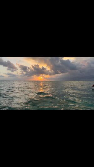 Adam Walker Instagram - Top 5 TIPS…..How to get the Ocean Walker glide with SPEED? 

1. Rotate via your feet and get the timing of the kick to accelerate the roll.

2. The way you do the kick is important, it’s not from the knee!!! Keep a straight leg so it makes a good connection 

3. Low your gliding arm so hips are high and so you get the feeling of swimming down hill. The aim is to get your hip touching the top of the surfaces.

4. Wrist pointing slightly downwards so you get all of the catch and don’t push water down and make sure you pull it back.

5. Learn how to keep a still head so you stay balanced on rotation.

I teach you all with under water and on top videos with my most comprehensive online coaching system EVER to LEARN the OCEAN WALKER TECHNIQUE . I’ve made it crazy cheap so it’s accessible to as many swimmers as possible just £12 a month. Over 40 videos available in 18 different languages!!! Just click ‘VIEW SHOP’ below this video to subscribe for over 3.5 hours of guidance. Very little risk and everything to gain!!!🏊‍♂️💪

#swimfaster #swimbetter #swimeffortless #oceanwalkertechnique