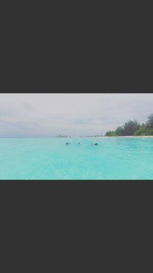 Adam Walker Instagram - Synchro in the Maldives 🇲🇻 🏊‍♂️

Energy saving, maximising length of stroke 💪💪👍
