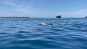 Adam Walker Instagram - The peace I get out in the ocean can never be replaced by land 🏊‍♂️🙏

#oceanwalkertechnique #adamoceanwalker #openwaterswimming
#triathlon #triathlete #zoggsuk #swimbetter #swimfaster #ironman #ironmanswim #trip #swimeasy #ironmantraining #swimevents #swimbikerun #zoggsaustralianewzealand #ocean #oceanswimming