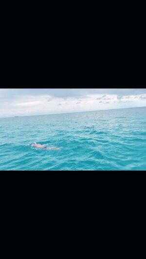 Adam Walker Instagram - Just released my 50th video today on the perfect timing in the Ocean Walker Technique on my on-line coaching system Ocean Walker Vimeo. Since launching the online 4 years ago I’m so pleased how effective this system has been and really appreciate all my subscribers and the positive feedback you’ve given.

For access to all videos with drills and instruction it’s still just £12 a month.