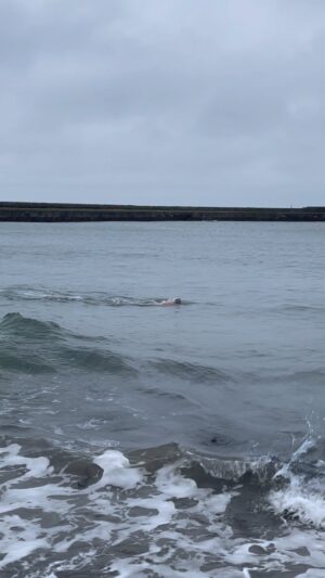 Adam Walker Instagram - 3 degrees water temperature in the Irish Sea 

This is where you start your swim from Donaghadee (Ireland) to Port Patrick (Scotland) fantastic memories for me doing this swim. It was great to have a dip!! 🏊‍♂️💪