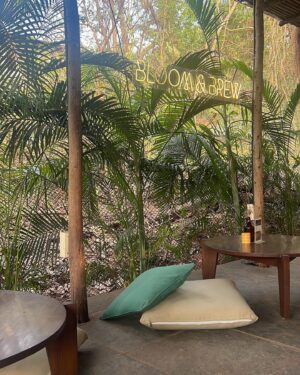 Additi Gupta Instagram - 🌱