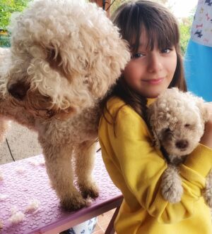 Adéla Heftyová Instagram - Tie oči.. ❤👁 Šteniatka nie sú naše, len sme ich obdivovali.. 🐾 #babydog #lagotto #lagottoromagnolo #lagottopuppy
