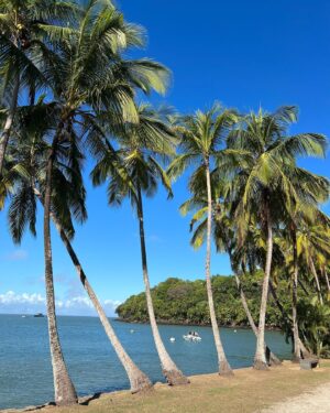 Adeline Vetter Instagram - Chère Guyane 💛

Quand j’ai appris que nous partions en voyage de presse dans ce bout de France d’Amérique du Sud, j’ai tout de suite su que c’était la meilleure destination possible pour l’amoureuse de la nature que je suis. 

Tu es méconnue et tu ne figures pas souvent dans les tops destinations, et après t’avoir visité, on se demande vraiment pourquoi. Des paysages verdoyants à perte de vue, des plages magnifiques, une biodiversité unique, et surtout, SURTOUT: des habitants au cœur pur et authentique. 

Voir des gens aussi fiers de leur région, de leur patrimoine, de leur histoire, de leur diversité, forcément ça touche l’alsacienne que je suis. Parceque nous partageons cela: l’amour de notre territoire. Le respect de nos traditions. L’envie de les faire perdurer. 

Alors voilà belle Guyane, compte sur moi pour parler de toi, et compte sur moi pour revenir et faire découvrir tes trésors à mon entourage. Merci pour tes sourires, merci pour tes regards, merci pour tous ces moments de vie magnifiques. 

C’est chez toi que l’aventure a commencé alors nous serons pour toujours intimement liées, et j’aurai toujours un grand sourire et des étoiles plein les yeux quand j’entendrai parler de toi. 

Je n’ai pas beaucoup de photos, mais il paraît qu’on ne voit bien qu’avec le cœur, l’essentiel est invisible pour les yeux. 

Je repars en métropole le cœur rempli de souvenirs et de chaleur, alors MERCI 💛🇬🇫