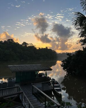 Adeline Vetter Instagram - Chère Guyane 💛

Quand j’ai appris que nous partions en voyage de presse dans ce bout de France d’Amérique du Sud, j’ai tout de suite su que c’était la meilleure destination possible pour l’amoureuse de la nature que je suis. 

Tu es méconnue et tu ne figures pas souvent dans les tops destinations, et après t’avoir visité, on se demande vraiment pourquoi. Des paysages verdoyants à perte de vue, des plages magnifiques, une biodiversité unique, et surtout, SURTOUT: des habitants au cœur pur et authentique. 

Voir des gens aussi fiers de leur région, de leur patrimoine, de leur histoire, de leur diversité, forcément ça touche l’alsacienne que je suis. Parceque nous partageons cela: l’amour de notre territoire. Le respect de nos traditions. L’envie de les faire perdurer. 

Alors voilà belle Guyane, compte sur moi pour parler de toi, et compte sur moi pour revenir et faire découvrir tes trésors à mon entourage. Merci pour tes sourires, merci pour tes regards, merci pour tous ces moments de vie magnifiques. 

C’est chez toi que l’aventure a commencé alors nous serons pour toujours intimement liées, et j’aurai toujours un grand sourire et des étoiles plein les yeux quand j’entendrai parler de toi. 

Je n’ai pas beaucoup de photos, mais il paraît qu’on ne voit bien qu’avec le cœur, l’essentiel est invisible pour les yeux. 

Je repars en métropole le cœur rempli de souvenirs et de chaleur, alors MERCI 💛🇬🇫