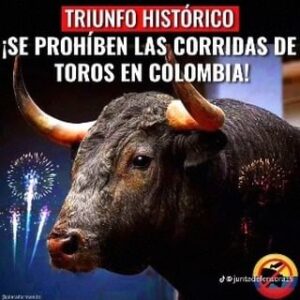 Adolfo Cubas Instagram - Yes .. bravo 
Bravo 
Venezuela pa cuando ?