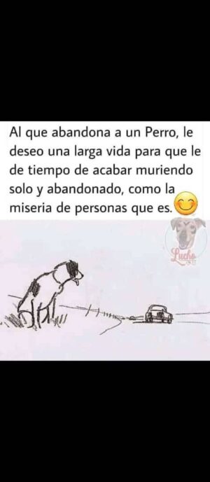 Adolfo Cubas Instagram - 