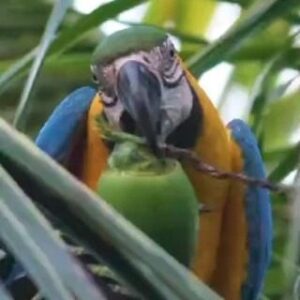 Adolfo Cubas Instagram - Carajo bárbaro