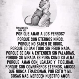 Adolfo Cubas Instagram - Amo a los animales 
Quien no ame a un animal NO ES DE DIOS