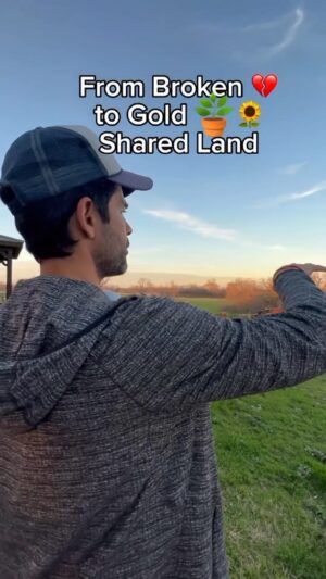 Adrian Grenier Instagram - Community - Regeneration and Sustainability.

That’s what we’re trying to build here in Austin, all under a piece of property for the community. Make this an example of what can be done on a bigger scale. 

#permaculture #communityliving #earthspeed #reconnection