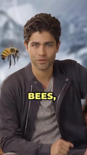 Adrian Grenier Instagram - Throwback Fridays 🍃 

Let’s get real about the value of nature in our economy. 💸🐝 Did you know that bees, often unnoticed, are like the powerhouse workers of our agriculture, contributing a whopping $190 billion to it? 

Nature isn’t just a pretty backdrop; it’s an active, invaluable player in our economic systems.

#ValueOfNature #EcoEconomics #BeeImpact #NatureInEconomy