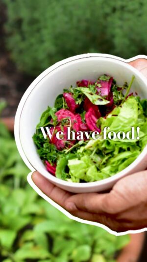 Adrian Grenier Instagram - Happiness is home grown food and it’s happy days on the farm!🕺🥗 What’s your favourite from our yield?
.
.
.
#food #farmfood #organicfood #homegrown #healthy #best #farmlife #fresh #freshfood #veggies #greens #leafygreens