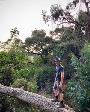 Adrien Brody Instagram - Out on a limb
