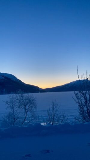 Agnes Born Instagram - 🌜❄️

#nordland#nordic#winterland#newmoon#january#coldaf#frost#moon#beauty#blue#nordland#norway @garmarna_official