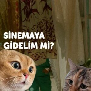 Ahmet Mümtaz Taylan Instagram - Sinemaya gidelim mi? #ölümlüdünya 🌻