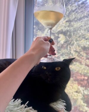 Ahn Chae-mi Instagram - Friday afternoon in the 🏠 

#리오 #catlife