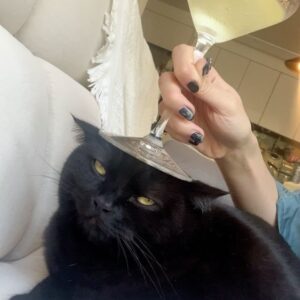 Ahn Chae-mi Instagram - Friday afternoon in the 🏠 

#리오 #catlife