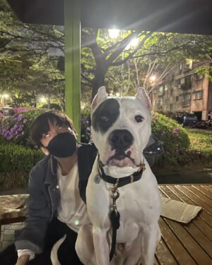 Ahn Seung-gyun Instagram - 론이는 나를 끌고다녔다..😂