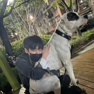 Ahn Seung-gyun Instagram - 론이는 나를 끌고다녔다..😂
