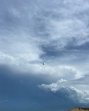 Ailín Salas Instagram - Con @enzo_codaro entre los cielos las vacas y los mares