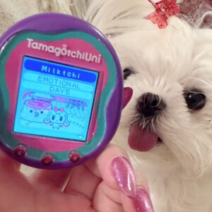 Ainsley Bailey Instagram - sorry my tamagotchi took my phone