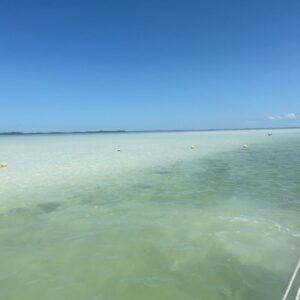 Aixa Villagrán Instagram - Holbox, en maya hoyo negro; o me pierdo o me encuentro.