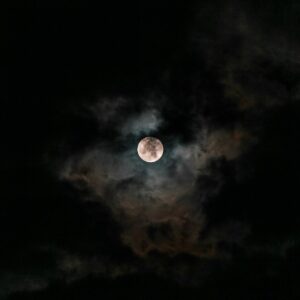 Aiysha Hart Instagram - The moon is a loyal companion.
It never leaves. It’s always there, watching, steadfast, knowing us in our light and dark moments, changing forever just as we do. Every day it’s a different version of itself. Sometimes weak and wan, sometimes strong and full of light. The moon understands what it means to be human.
Uncertain. Alone. Cratered by imperfections. - Tahereh Mafi
