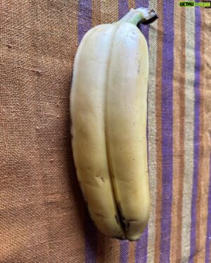 Al Pitcher Instagram - Honestly  I am not into conspiracies … but I have purchased a DOUBLE BANANA . what does it mean ? I am too terrified to open the beast of potassium , I cant divorce them . 🍌🍌👀#intebanansplit