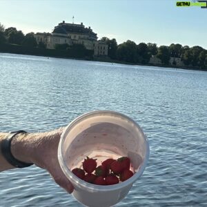 Al Pitcher Instagram - 👑 A royal snoppa jordgubbar 🍓