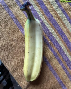 Al Pitcher Instagram - Honestly  I am not into conspiracies … but I have purchased a DOUBLE BANANA . what does it mean ? I am too terrified to open the beast of potassium , I cant divorce them . 🍌🍌👀#intebanansplit