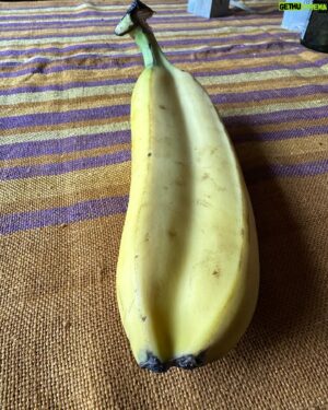 Al Pitcher Instagram - Honestly  I am not into conspiracies … but I have purchased a DOUBLE BANANA . what does it mean ? I am too terrified to open the beast of potassium , I cant divorce them . 🍌🍌👀#intebanansplit