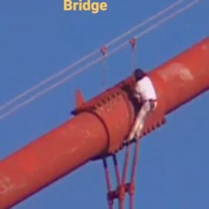 Alain Robert Instagram - 🐙 El kraken entre los Krakens @alainrobertofficial  En 1996 Alain Robert ascendió los 227m del mítico Golden Gate

✍️ "En 1996 subí al Puente Golden Gate en San Francisco. Una ascensión que resultó ser mucho más agotadora de lo que había esperado debido a la interminable longitud de los cables, pero también por un viento muy fuerte que hacía que los cables se balancearan, y de hecho, en algún momento fue bastante aterrador. Además, los policías que me arrestaron me esposaron con las manos en la espalda, pero para llegar al ascensor dentro del pilar tuve que descender una escalera de 10 metros de cara a la altura, ya que era la única manera de agarrar las barras de la escalera, lo cual fue bastante peligroso e incómodo."

(Dm for credit or removal / All rights are reserved & belong to their respective owners)

Apúntate a la Newsletter Semanal de escalada y alpinismo y Mantente al día de Todo lo que está pasando.
Las Noticias Más Relevantes De La Semana
Directas a tu buzón y resumidas, para ponerte al día en 5 minutos..videos, recomendaciones y más sorpresitas...:
👇 👇
https://climbingkraken.com