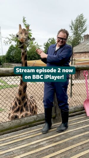 Alan Carr Instagram - Someone needs to wind their neck in, @chattyman! 🦒 

Catch up with brand new #interiordesignmasters NOW on @bbciplayer