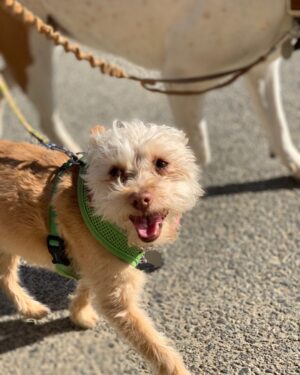 Alan Tudyk Instagram - Just a little Raisin to make the day brighter. She’s a little scamp. You can see it in her smile:)