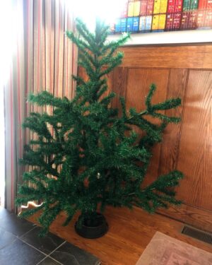 Alan Tudyk Instagram - As we prepare to decorate, the Tudyk Christmas tree is looking especially majestic this year.