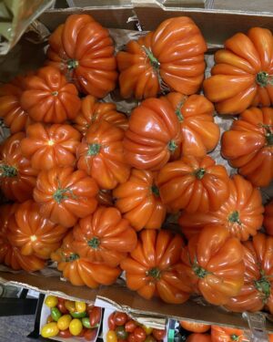 Alan Tudyk Instagram - pre-Botox tomatoes