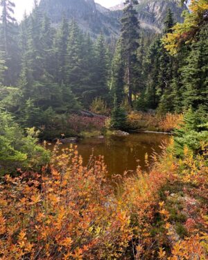 Alaska Leigh Instagram - ☼ what an absolutely glorious day ☼
• scroll ➡️ for the bluest water you have ever seen, the most ridiculous hike up a mountain (yes, I did that), animal friends and more! •
🌈🌎☘️🦋🍁☀️
#beautifulbc #joffrelakes #hikingadventures #hikebc #whistler #bcisbeautiful