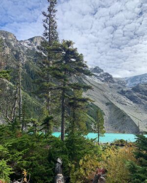 Alaska Leigh Instagram - ☼ what an absolutely glorious day ☼
• scroll ➡️ for the bluest water you have ever seen, the most ridiculous hike up a mountain (yes, I did that), animal friends and more! •
🌈🌎☘️🦋🍁☀️
#beautifulbc #joffrelakes #hikingadventures #hikebc #whistler #bcisbeautiful