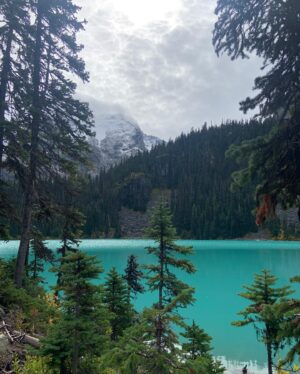 Alaska Leigh Instagram - ☼ what an absolutely glorious day ☼
• scroll ➡️ for the bluest water you have ever seen, the most ridiculous hike up a mountain (yes, I did that), animal friends and more! •
🌈🌎☘️🦋🍁☀️
#beautifulbc #joffrelakes #hikingadventures #hikebc #whistler #bcisbeautiful