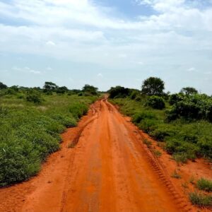 Alaska Leigh Instagram - I’ll send you a postcard 🇰🇪
☼ some little snippets of Kenya pt 1 ☼
