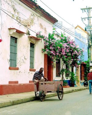 Alba Ribas Instagram - Colombia, mar caribe, el valle del cocora, la comuna13, patacón, muchas heridas y mucha música
