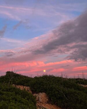 Albert Baró Instagram - De la noche, verano, a la mañana.