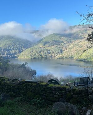 Albert Rivera Instagram - A veces viajamos miles de kilómetros en busca del paraíso lejos de nuestra tierra… pero somos afortunados, porque tenemos paraísos cercanos-algunos más conocidos y otros menos- donde se juntan la naturaleza, la historia, la gastronomía, el vino y la buena gente.

#RiberaSacra #Lugo #Galicia #España #sinfiltros